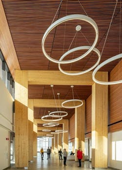 Orleans health hub structural mass timber Orleans health hub structural mass timber