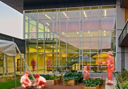 Forest Edge garden Forest Edge garden