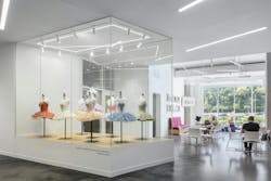 Display Case Display Case