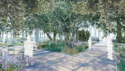 Longwood Reimagined Olive Grove Longwood Reimagined Olive Grove