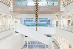 MUN STEM building int 2 MUN STEM building int 2