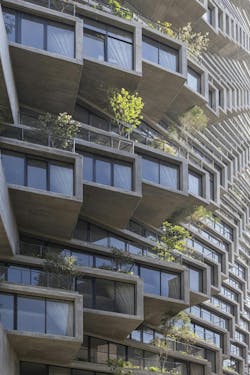 Trees planted in terraces at IQON Trees planted in terraces at IQON