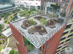 Bjarke Ingels Group and Skanska to deliver 1550 on the Green, one of the most sustainable buildings in Texas Bjarke Ingels Group and Skanska to deliver 1550 on the Green, one of the most sustainable buildings in Texas