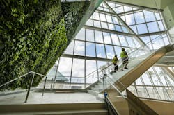 Glass bridge in aquarium Glass bridge in aquarium