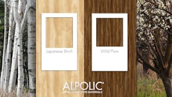 Japanese Birch and Wild Plum Japanese Birch and Wild Plum