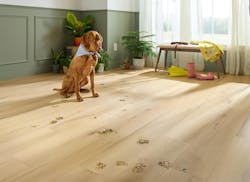 Ingenious Plank hybrid resilient flooring Ingenious Plank hybrid resilient flooring