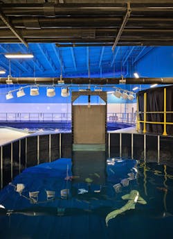 Photo by Michael Robinson, courtesy EHDD and El Dorado Photo by Michael Robinson, courtesy EHDD and El Dorado