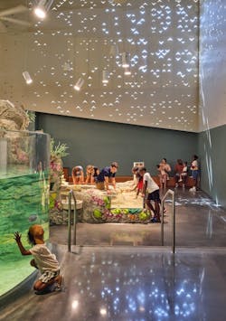 Photo by Michael Robinson, courtesy EHDD and El Dorado Photo by Michael Robinson, courtesy EHDD and El Dorado