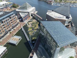 Baltimore’s National Aquarium opens 10,000-sf floating wetland that mimics the harbor’s original tidal marsh habitat. Photo: Philip Smith, National Aquarium Baltimore’s National Aquarium opens 10,000-sf floating wetland that mimics the harbor’s original tidal marsh habitat. Photo: Philip Smith, National Aquarium