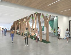 A hammock grove is one of many wellness amenities within the Student Recreation & Wellness Center at Michigan State University, whose costs are being partly defrayed by a dedicated $340 per year student fee. A hammock grove is one of many wellness amenities within the Student Recreation & Wellness Center at Michigan State University, whose costs are being partly defrayed by a dedicated $340 per year student fee.