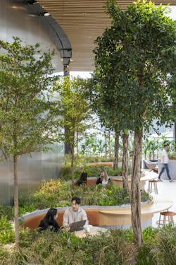 2205 Fp899966 2205 Fp899966