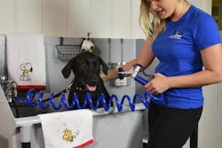 Cool Dog Wash Tub 2 Cool Dog Wash Tub 2