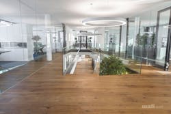mafi wood flooring with bamboo plants at Starzinger GmbH mafi wood flooring with bamboo plants at Starzinger GmbH