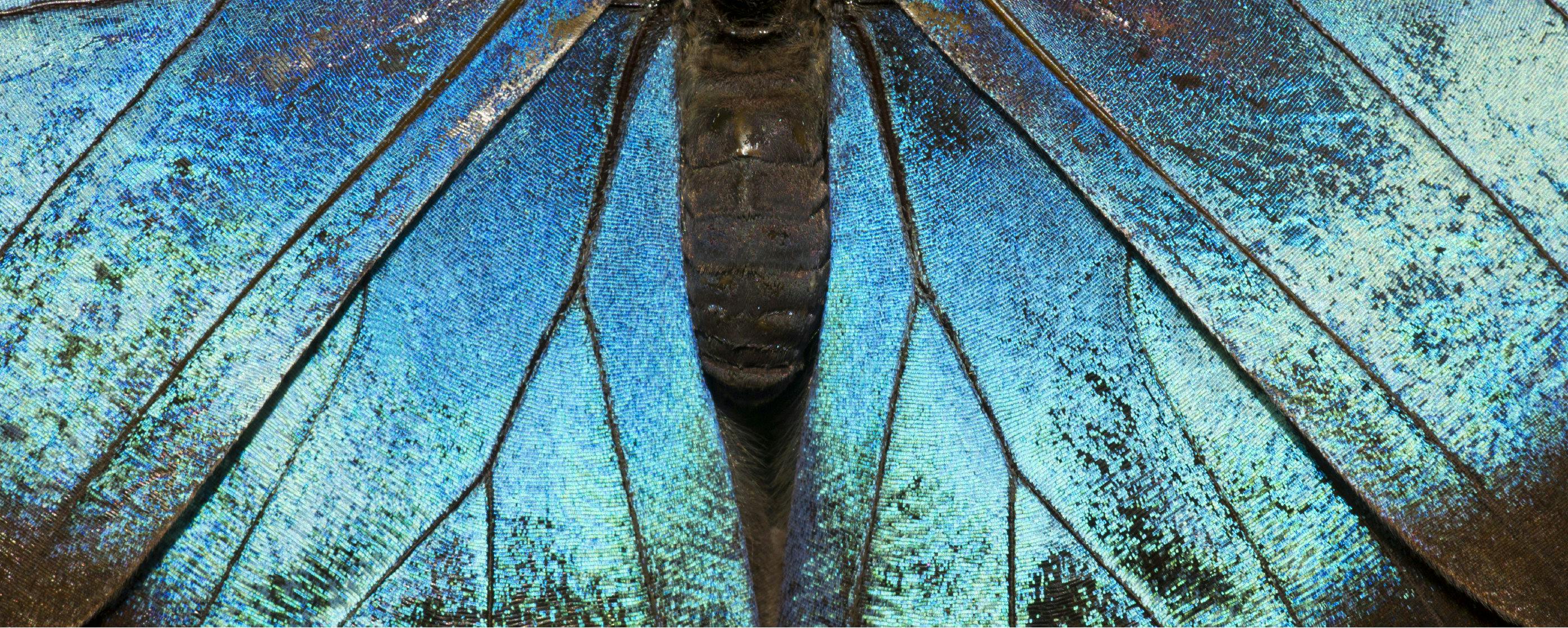 Accountability-Centered Technology (ACT) Collection