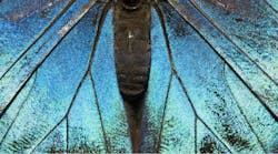 Accountability-Centered Technology (ACT) Collection Accountability-Centered Technology (ACT) Collection