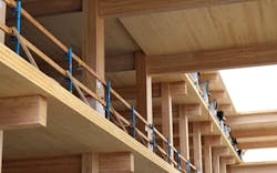 Research suggests that mass timber promotes biophilia, where exposure to natural materials can have numerous beneficial effects. Research suggests that mass timber promotes biophilia, where exposure to natural materials can have numerous beneficial effects.