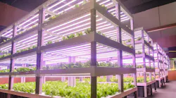 Modern Vertical agriculture indoor farm. Led plant growth lamp used in Facility agriculture,Vertical agriculture,Indoor planting,Plant factory. Mimicking sunlight helps romaine lettuce to carry out photosynthesis