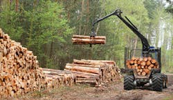 Photo © Vladvitek | Dreamstime.com Photo © Vladvitek | Dreamstime.com