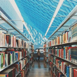 Image by StockSnap from Pixabay Image by StockSnap from Pixabay