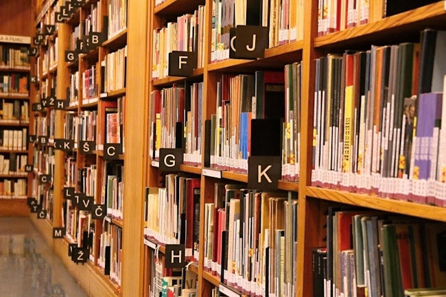 Image by Michal Jeník from Pixabay