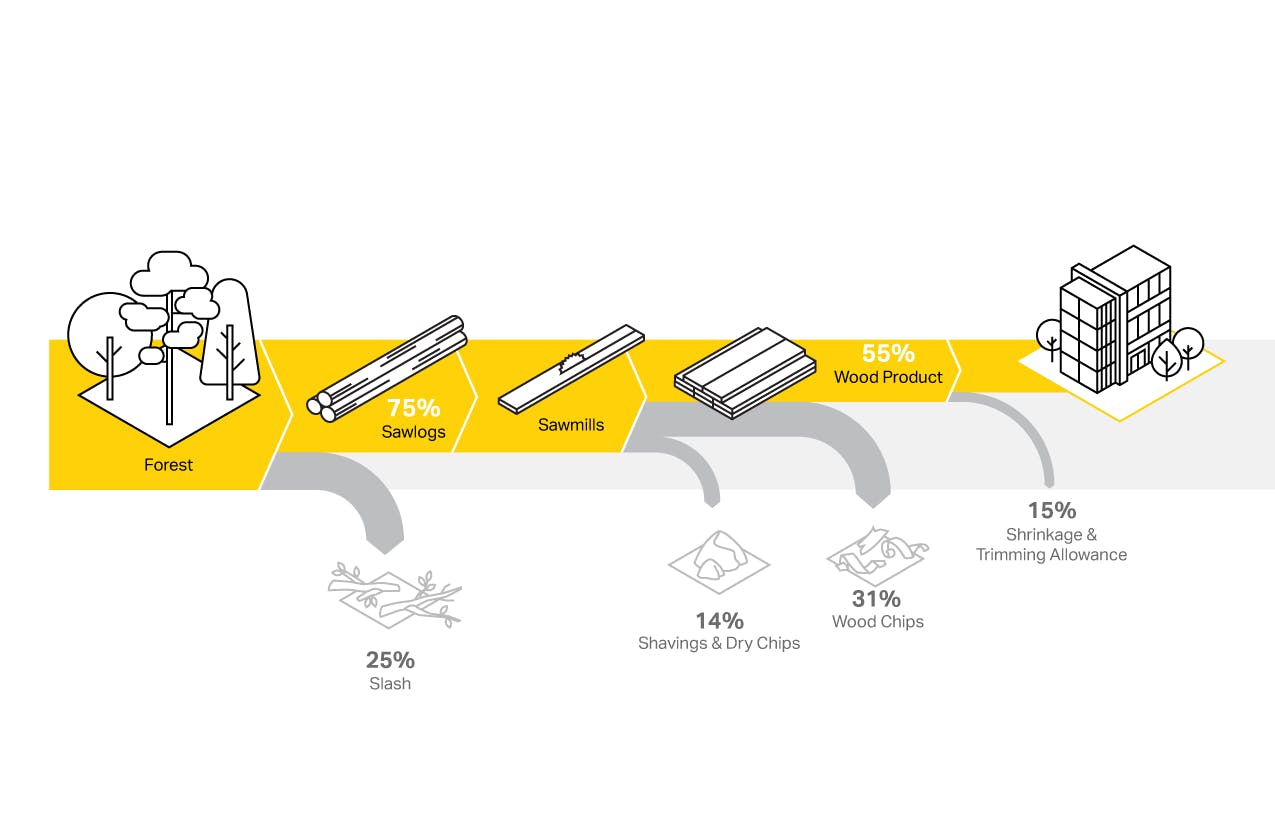 Only about 35% of a harvested tree makes it to the building stage. The harvesting residue, called slash, re-releases biogenic carbon.
