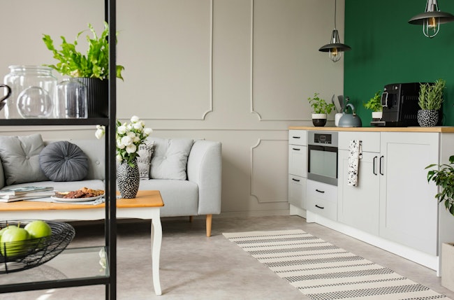 Empty green wall with copy space in elegant kitchen with white furniture,plants and coffee machine in stylish small micro-apartment with grey couch