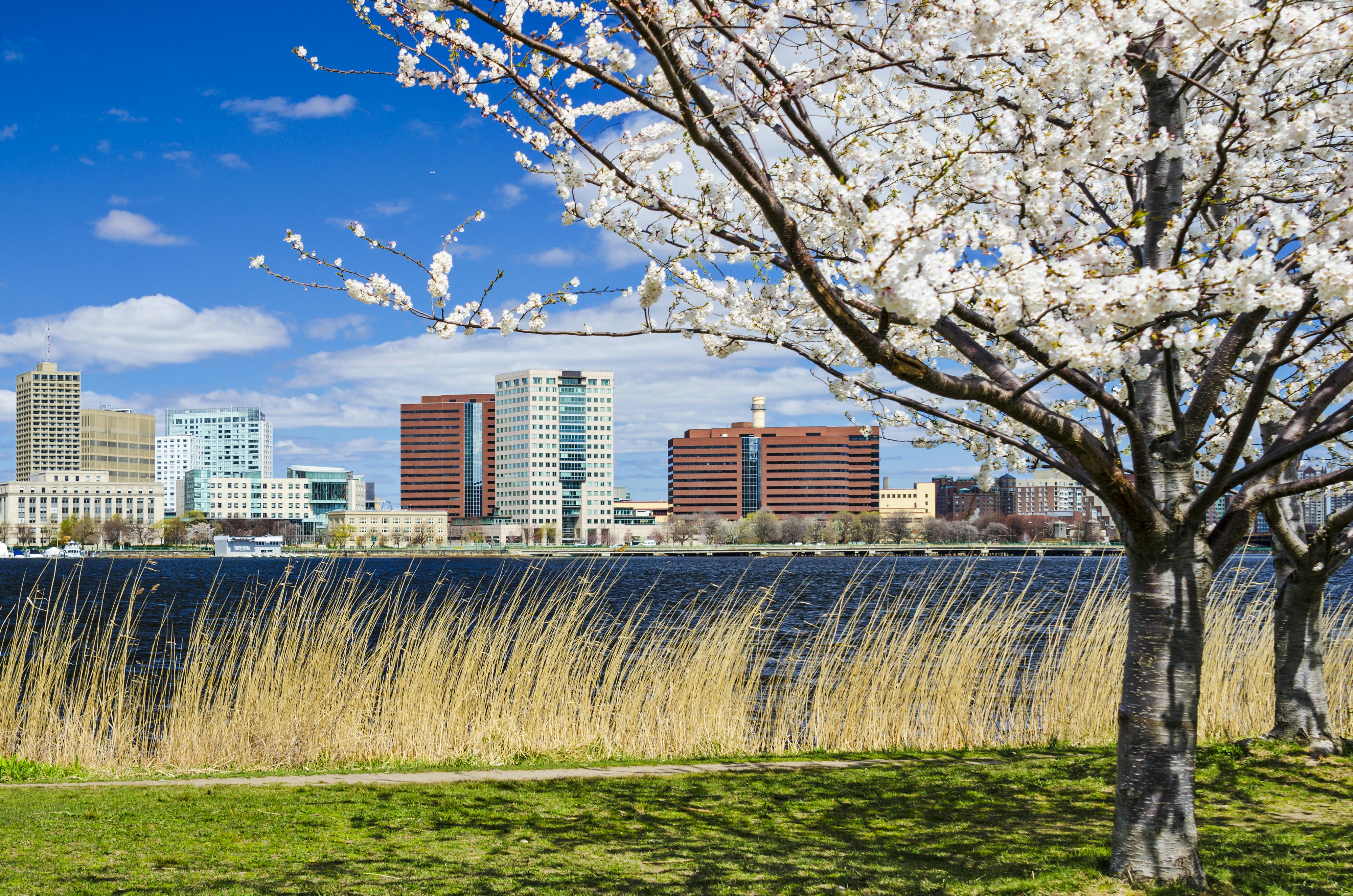 Cambridge, Massachusetts skyline in the spring.