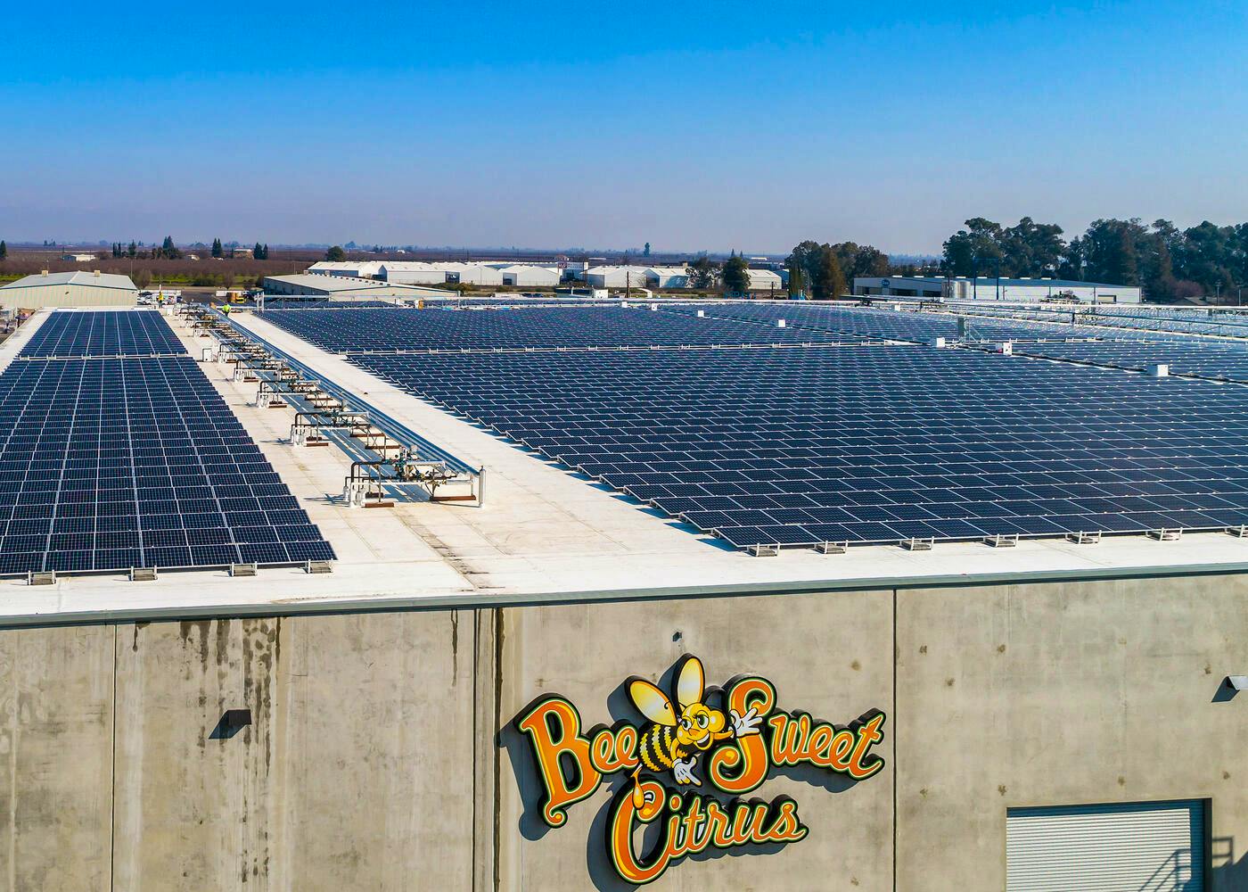 68371fb20049bbcb556d3290 Bee Sweet Hires Main