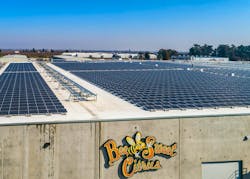 68371fb20049bbcb556d3290 Bee Sweet Hires Main 68371fb20049bbcb556d3290 Bee Sweet Hires Main