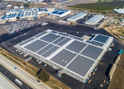 bee_sweet_hires_1 bee_sweet_hires_1