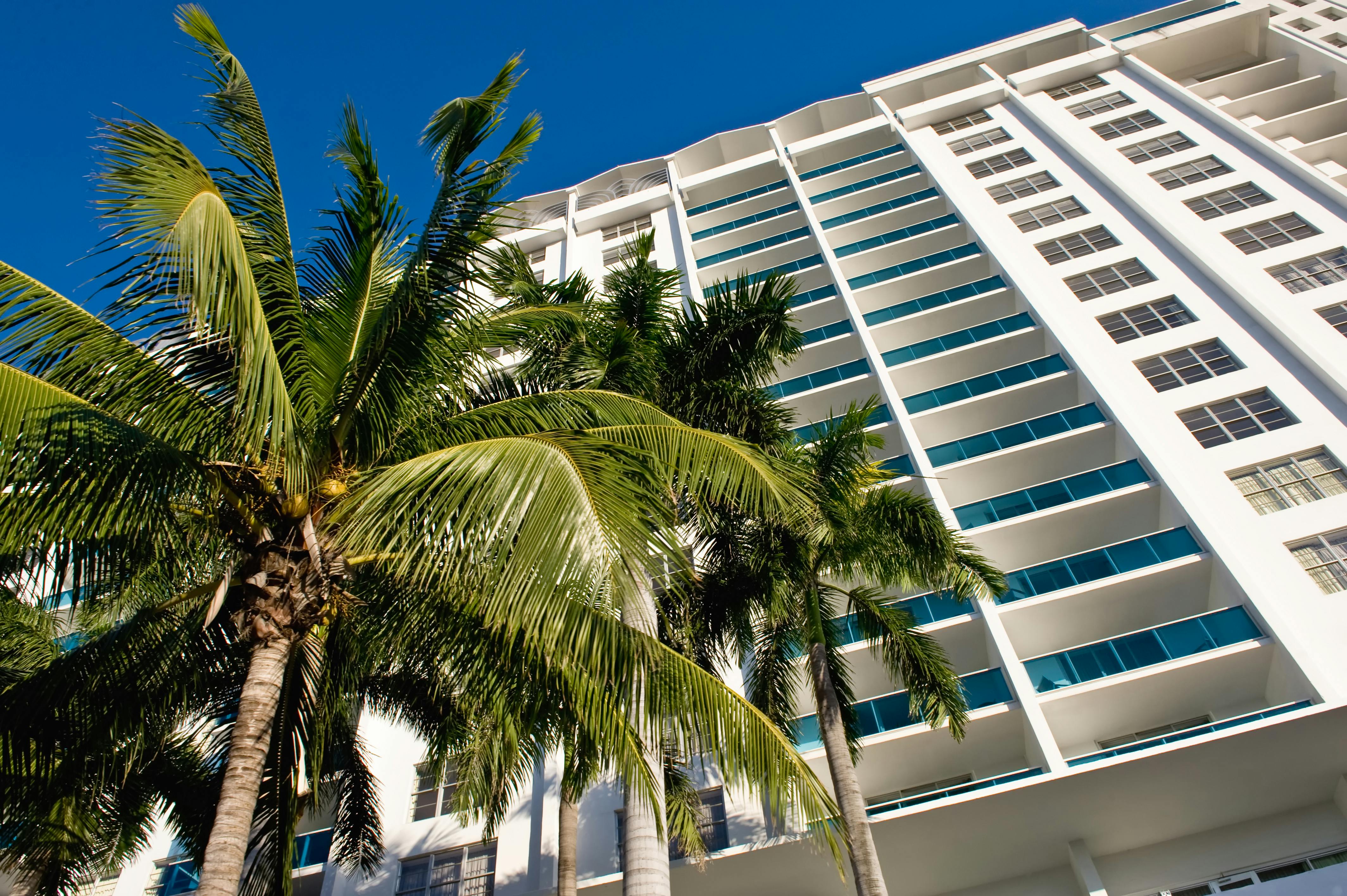 Miami condominium. Low angle view of condominium with palm tree in foreground, Florida, U. S. A.