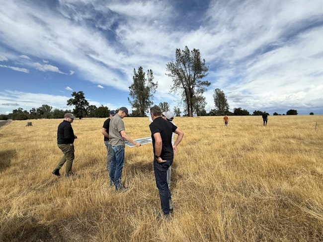 691239c04cdf6784a1d28224 Img 2994