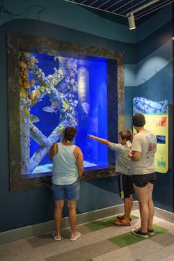 Photo credit: CambridgeSeven Photo credit: CambridgeSeven