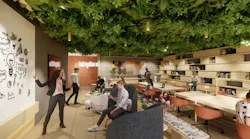 Choosing to incorporate features like nature in an indoor environment requires discovery: surveying staff, analyzing space usage, understanding end users’ needs, and adapting through feedback and data