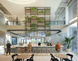 Photo courtesy Hanbury Photo courtesy Hanbury