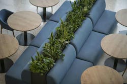 Photo courtesy Hanbury Photo courtesy Hanbury