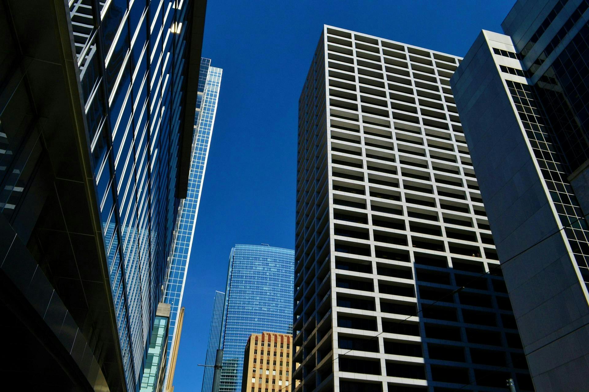 Image by F. Muhammad from Pixabay