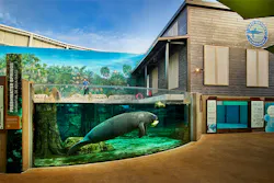Courtesy Mote SEA and TVS Courtesy Mote SEA and TVS