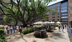 Whitis Hall’s precast concrete structure was installed without disturbing the site’s iconic Heritage Oak trees that provide valuable shading in the interior courtyard. Image courtesy Clark Nexsen