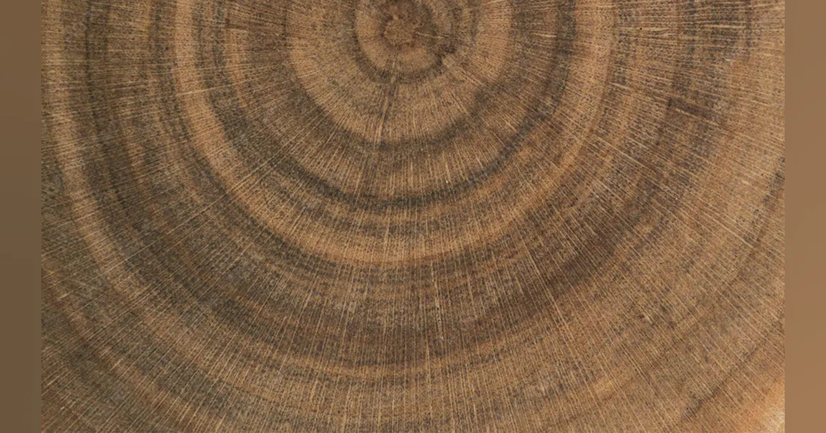 Proving that timber is competitive with steel and concrete