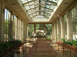 conservatory_plants_006