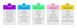 Delphis Continuum of Mental Health Model. Image courtesy Hanbury