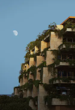 oppenheim_grandavemiami_newdawn_www